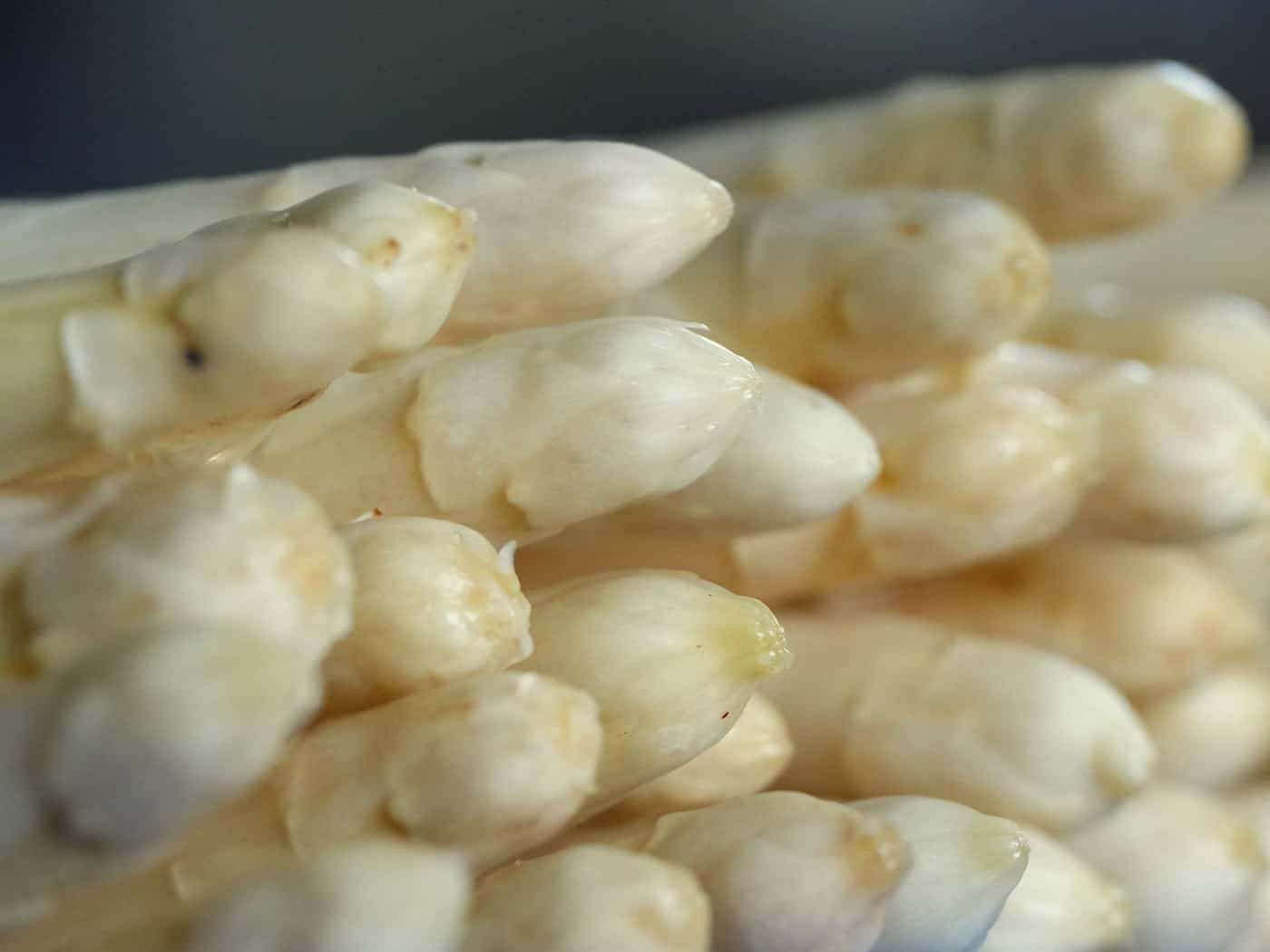 Spargelfreunde können jetzt die ersten frischen Stangen des Saisongemüses aus Brandenburg bekommen. (Archivbild) / Foto: Soeren Stache/dpa