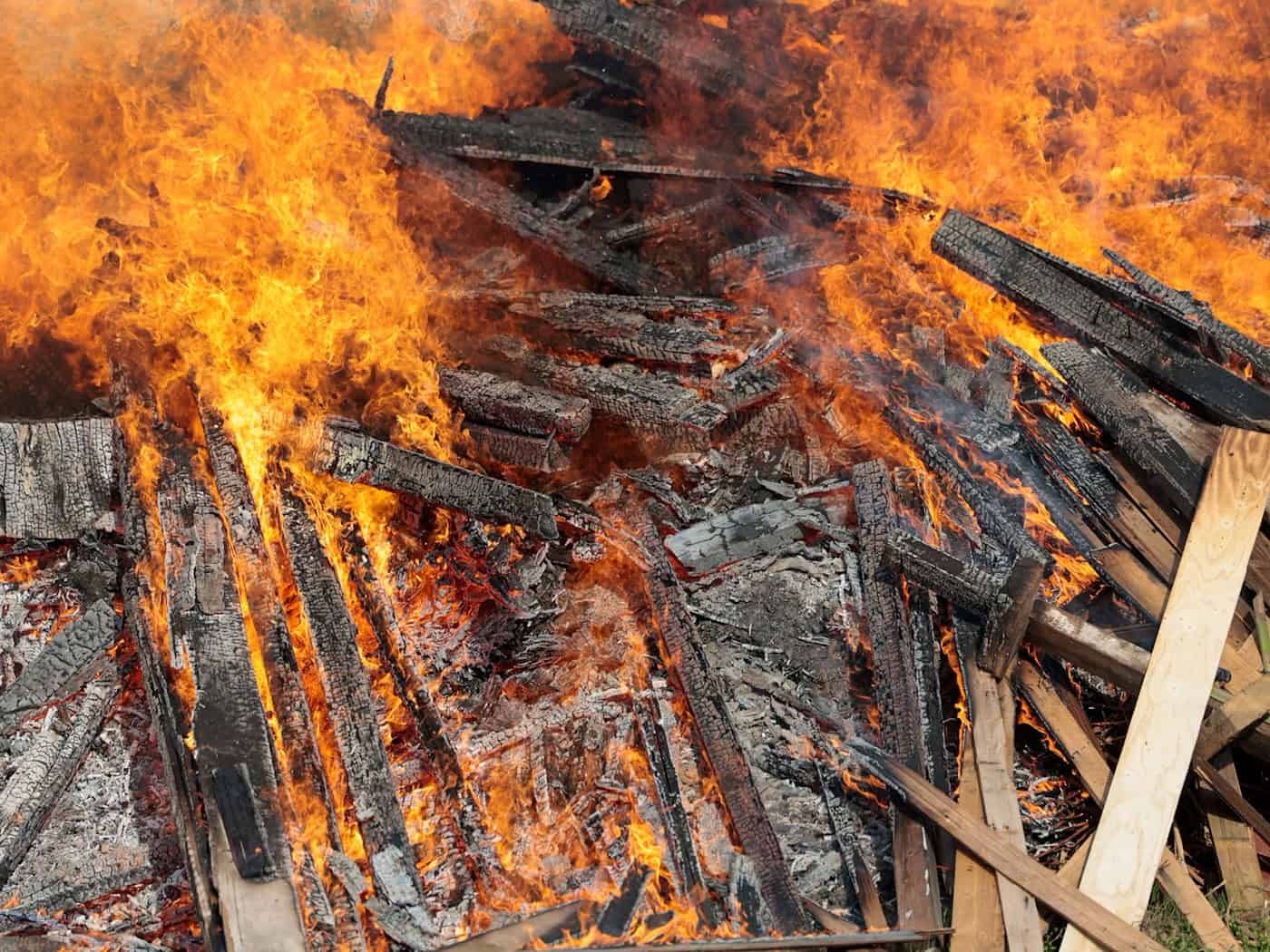 In den Haufen könnten Wildtieren sein, warnt der Tierschutzverein Berlin. (Symbolbild) / Foto: Thomas Banneyer/dpa