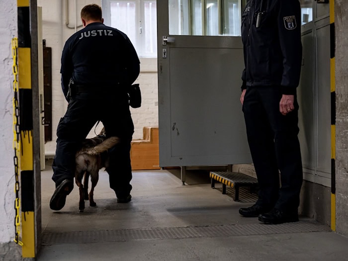 Ein Hund der justizeigenen Hundestaffel läuft mit einem Justizbeamten in der Justizvollzugsanstalt Tegel. (Archivbild)  / Foto: Fabian Sommer/dpa