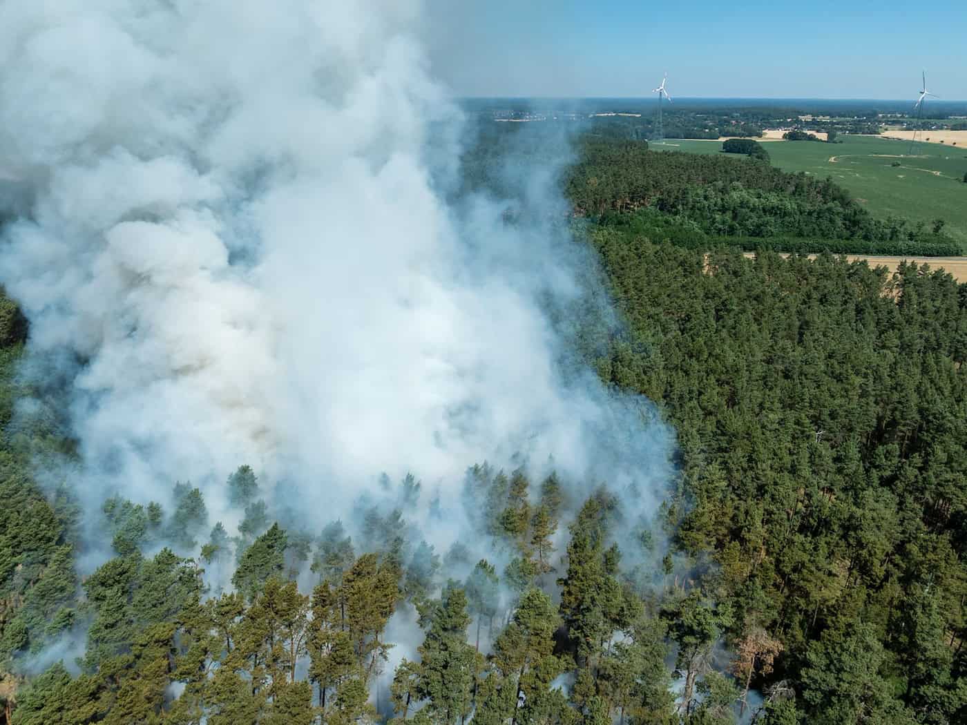 Brandenburg kämpft jedes Jahr mit hunderten Feuern im Wald. (Archivbild) / Foto: Frank Hammerschmidt/dpa