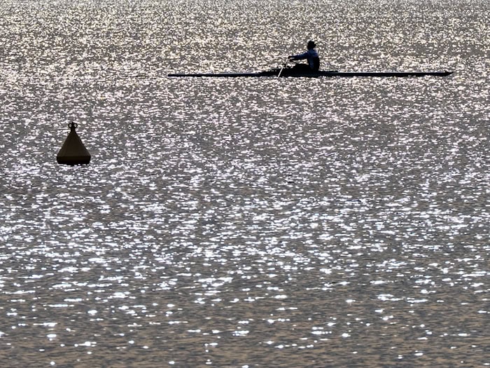 Nach dem trüben Wochenende gibt es in dieser Woche wieder Sonnenschein. / Foto: Soeren Stache/dpa