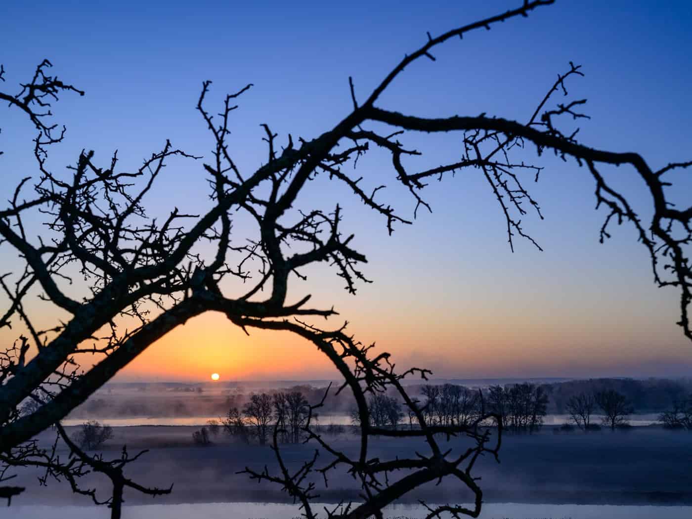 Nach einem grauen Start ins Wochenende zeigt sich am Sonntag in Berlin und Brandenburg wieder häufiger die Sonne. / Foto: Patrick Pleul/dpa