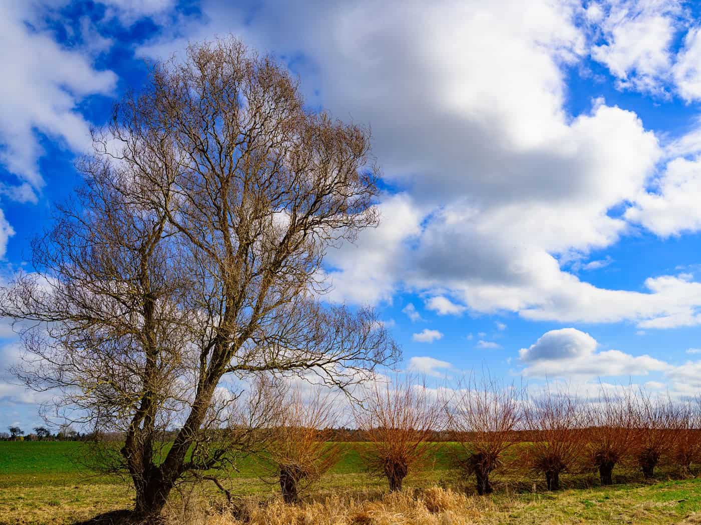 Bereits am Freitag ziehen die ersten Wolken auf. (Archivbild) / Foto: Patrick Pleul/dpa