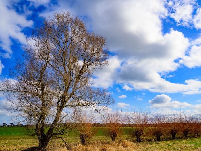 Bereits am Freitag ziehen die ersten Wolken auf. (Archivbild) / Foto: Patrick Pleul/dpa