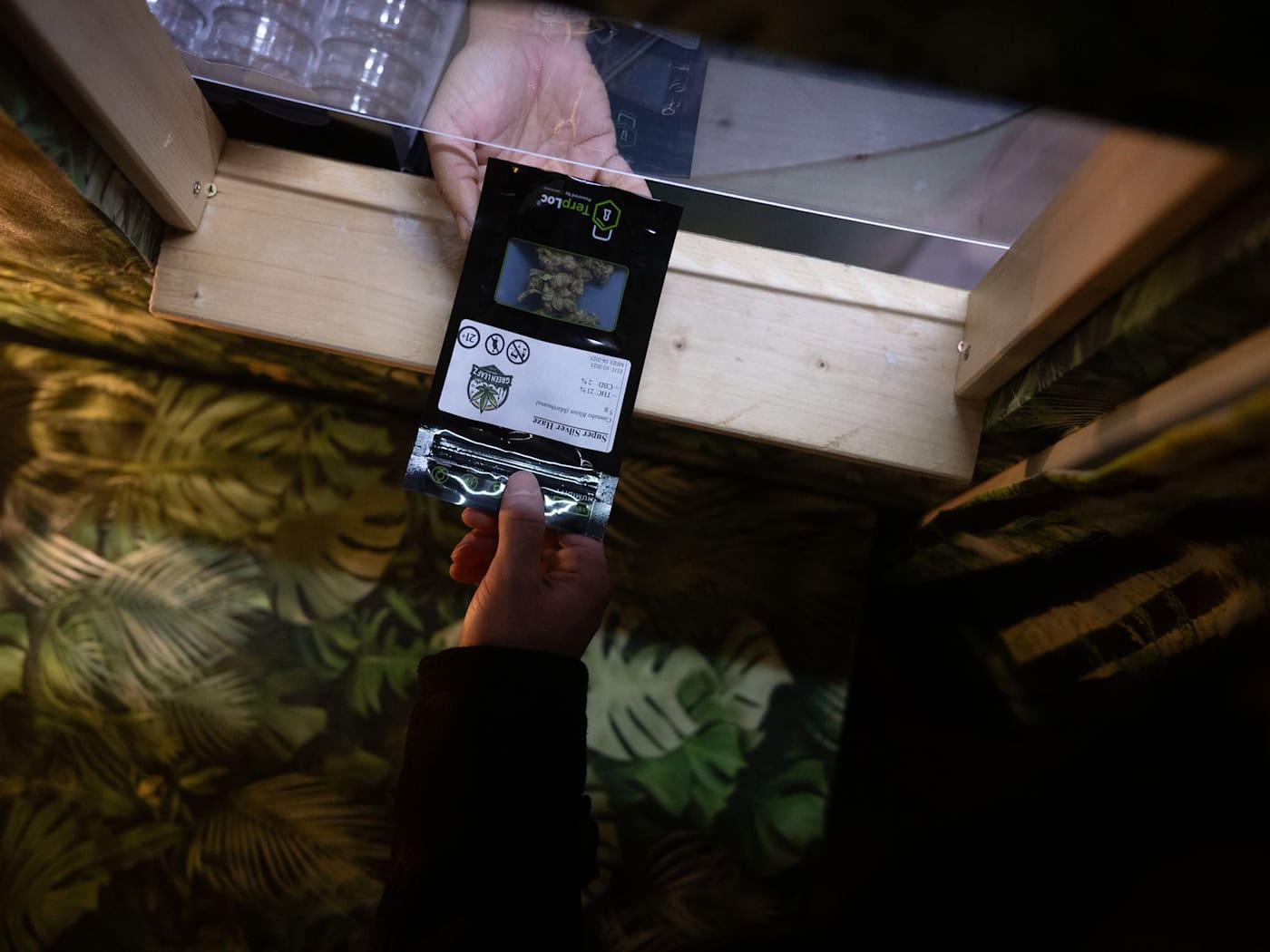  In Berlin haben Vereine eine Anbaugenehmigung. (Archivbild) / Foto: Sebastian Christoph Gollnow/dpa