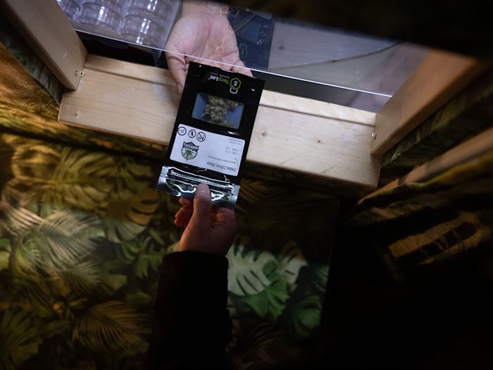  In Berlin haben Vereine eine Anbaugenehmigung. (Archivbild) / Foto: Sebastian Christoph Gollnow/dpa