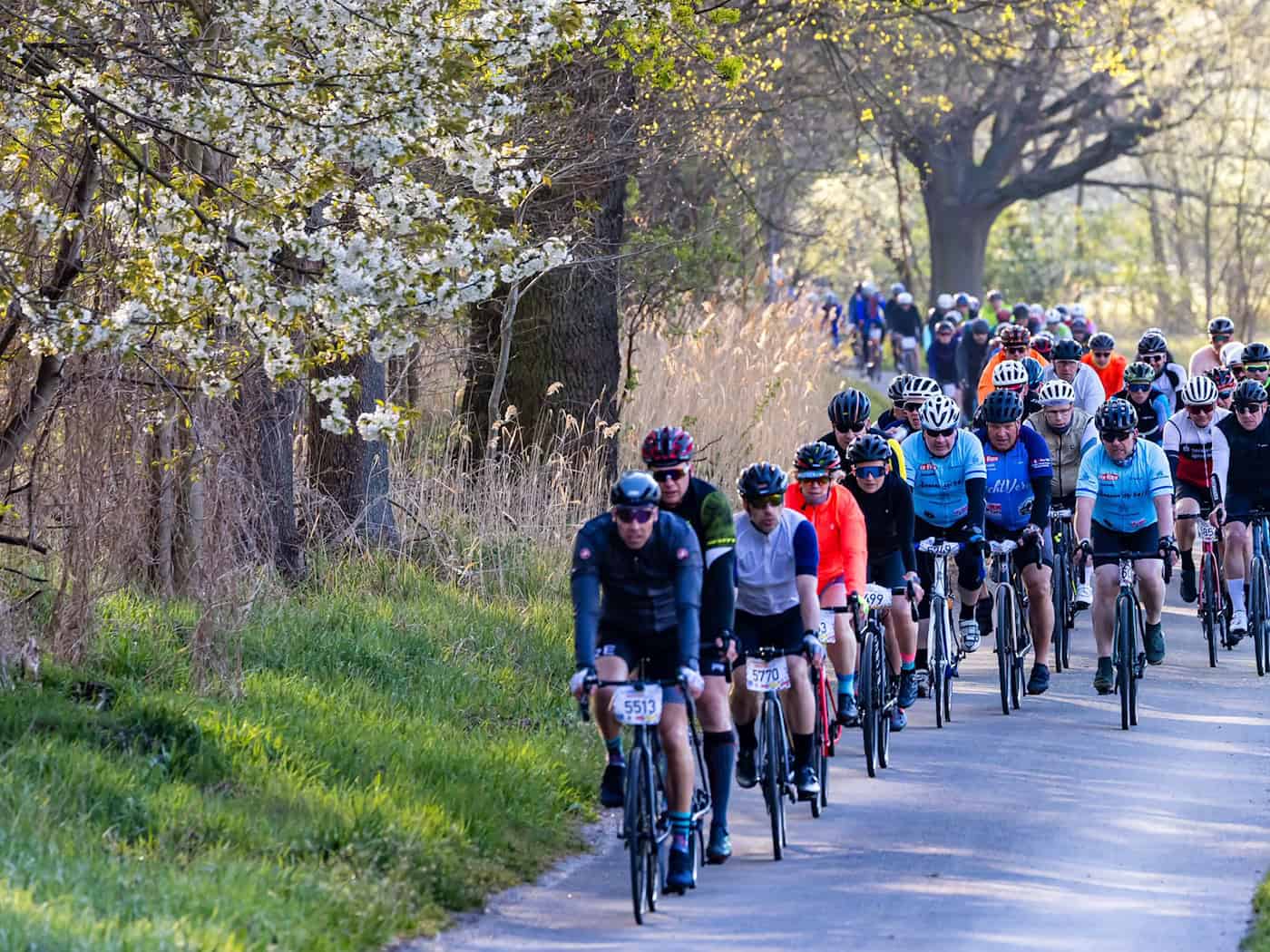 Beim Spreewald-Marathon absolvieren Radfahrer eine 150 Kilometer-Tour - und das Wetter stimmte am Samstag. / Foto: Frank Hammerschmidt/dpa
