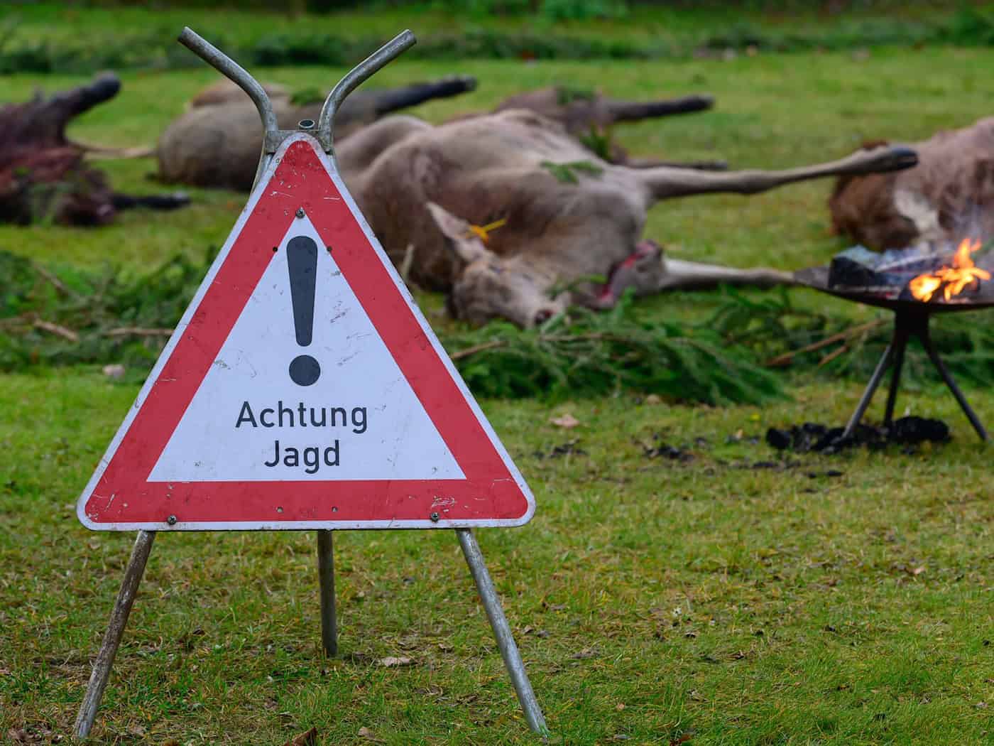 Die Jägerprüfung als Voraussetzung für einen Jagdschein gelingt bei weitem nicht jedem auf Anhieb. (Archivbild)  / Foto: Patrick Pleul/dpa/ZB