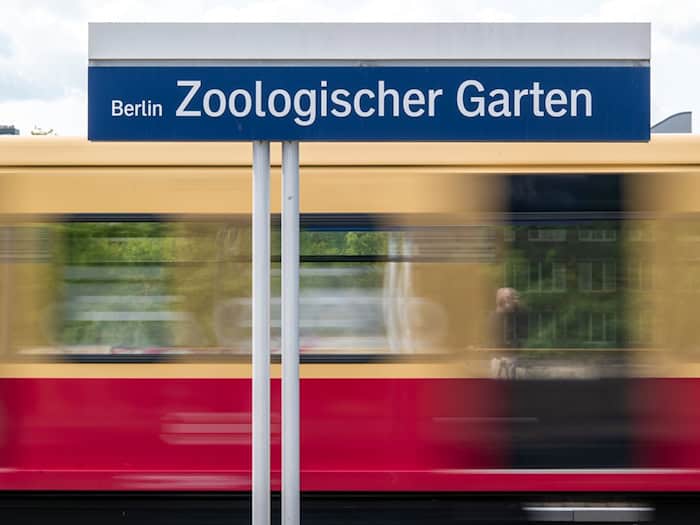 Bei Verstößen drohen Hausverweise und Hausverbote. (Archivbild) / Foto: Soeren Stache/dpa