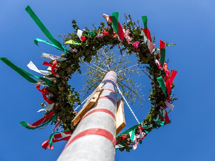 Mit bunten Bändern werden Maibäume als Frühlings-Symbol geschmückt. (Archivbild)  / Foto: Frank Hammerschmidt/dpa