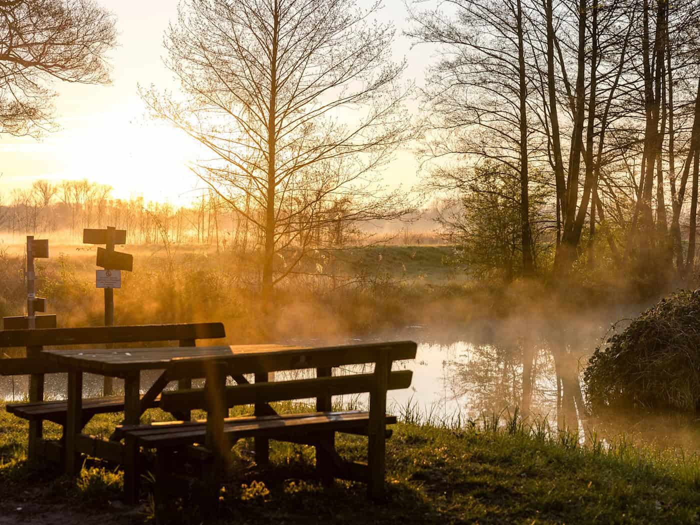 In den Nächten auf Dienstag und Mittwoch sinken die Werte auf 3 bis minus 2 Grad. (Archivbild) / Foto: Frank Hammerschmidt/dpa