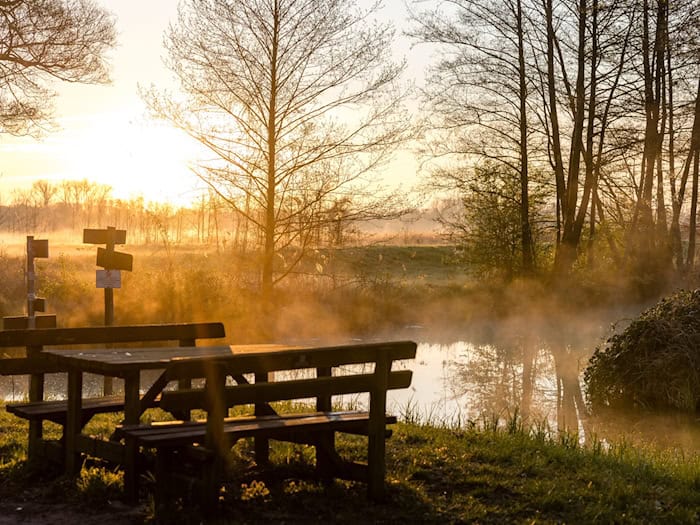 In den Nächten auf Dienstag und Mittwoch sinken die Werte auf 3 bis minus 2 Grad. (Archivbild) / Foto: Frank Hammerschmidt/dpa