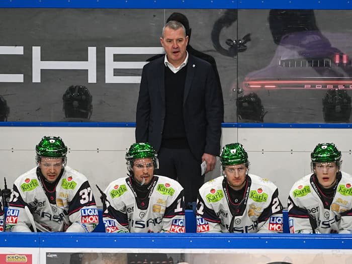 Trainer Serge Aubin und die Eisbären Berlin müssen im zweiten DEL-Halbfinale gegen Köln eine klare Niederlage hinnehmen. (Archivbild)  / Foto: Armin Weigel/dpa