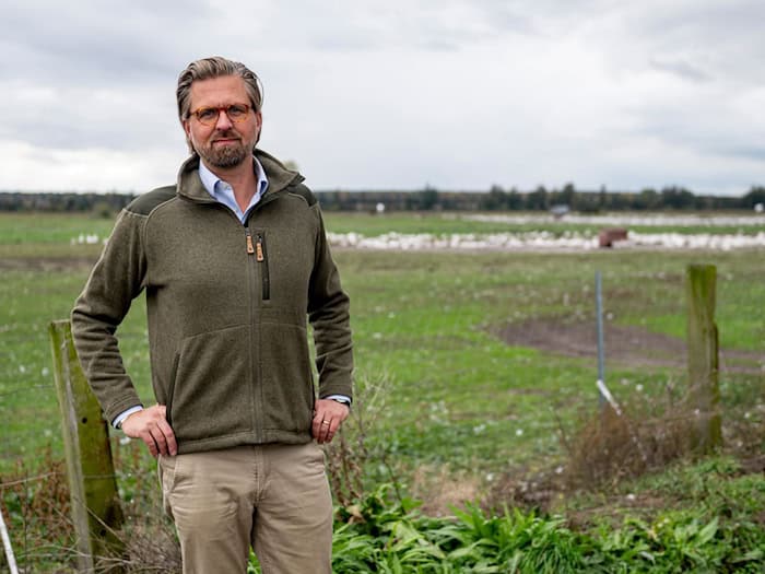 Betriebsleiter Malte Voigts schützt einen Teil seiner Heidelbeer-Pflanzen mit einer Beregnunganlage vor Frostschäden. (Archivbild)  / Foto: Fabian Sommer/dpa
