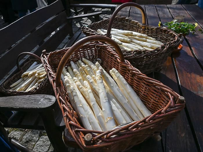 Er ist frisch vom Feld geholt: Der Beelitzer Spargel wird rechtzeitig vor Ostern geerntet. / Foto: Jens Kalaene/dpa