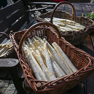 Er ist frisch vom Feld geholt: Der Beelitzer Spargel wird rechtzeitig vor Ostern geerntet. / Foto: Jens Kalaene/dpa