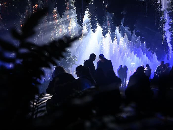 Besucher sehen sich bei der Eröffnung die Lichtinstallation «Forest Seasons» in der Ausstellung Dark Matter an.  / Foto: Britta Pedersen/dpa