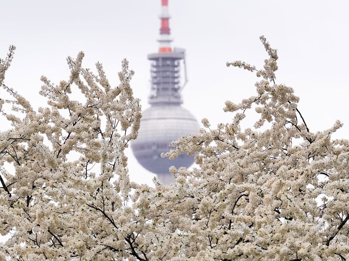 Dichter Nebel sorgt Gebietsweise für schlechte Sicht. (Symbolbild) / Foto: Soeren Stache/dpa