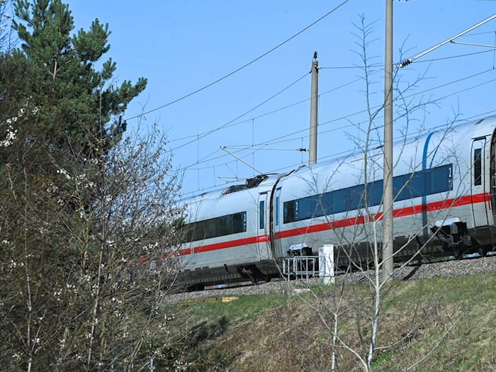 Die Bahnstromleitung ist auf einer Länge von fast einem Kilometer gerissen. / Foto: Heiko Rebsch/dpa