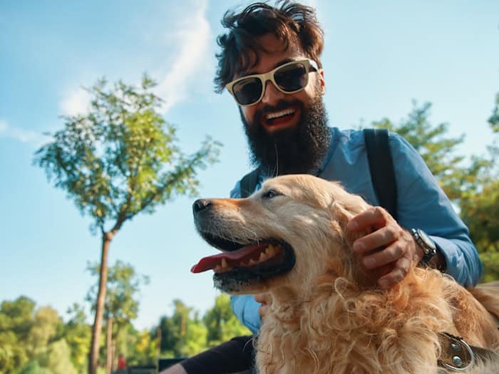 Dog Wellbeing Index 2026: So hundefreundlich sind Deutschlands Großstädte wirklich