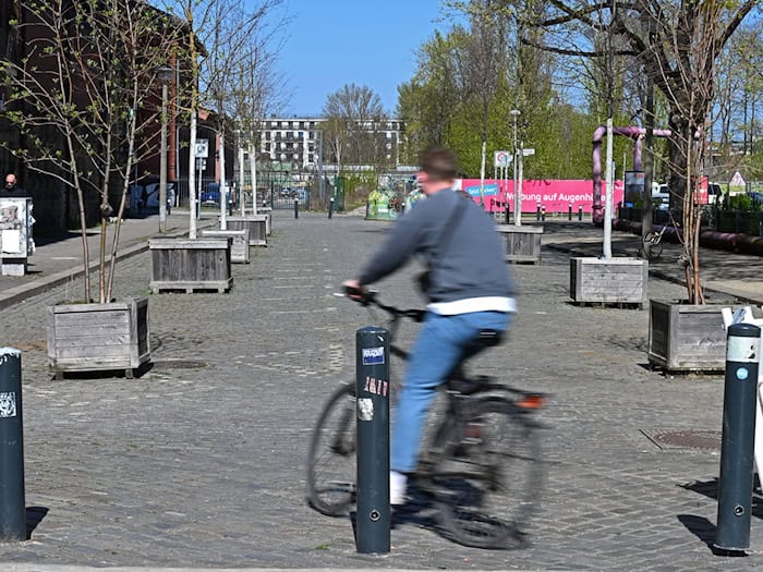 In der Danneckerstraße soll es nach dem Wunsch des Bezirksamts künftig noch deutlich grüner werden.  / Foto: Michael Brandt/dpa