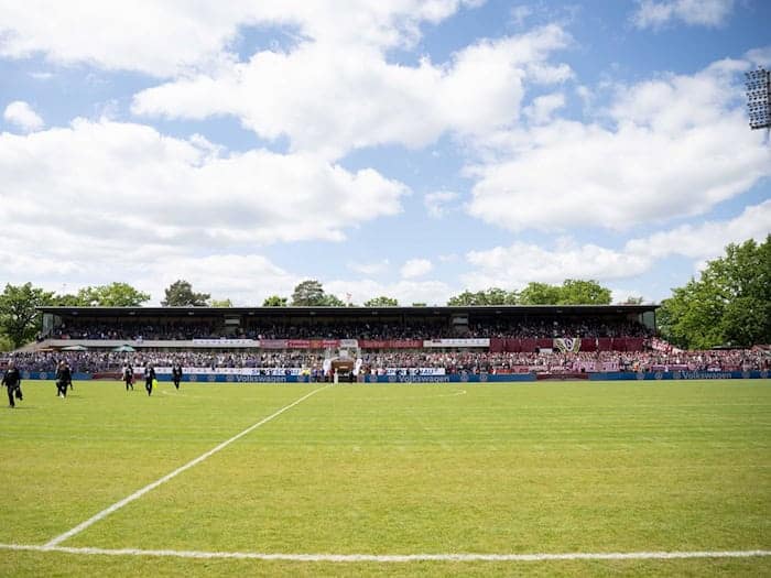 Der Rasen des Mommsenstadions ist von Pilzen befallen. (Archivbild) / Foto: Matthias Koch/dpa