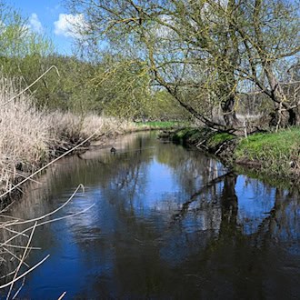 Die Stepenitz fließt auch im Norden von Brandenburg. (Archivbild) / Foto: Jens Kalaene/dpa