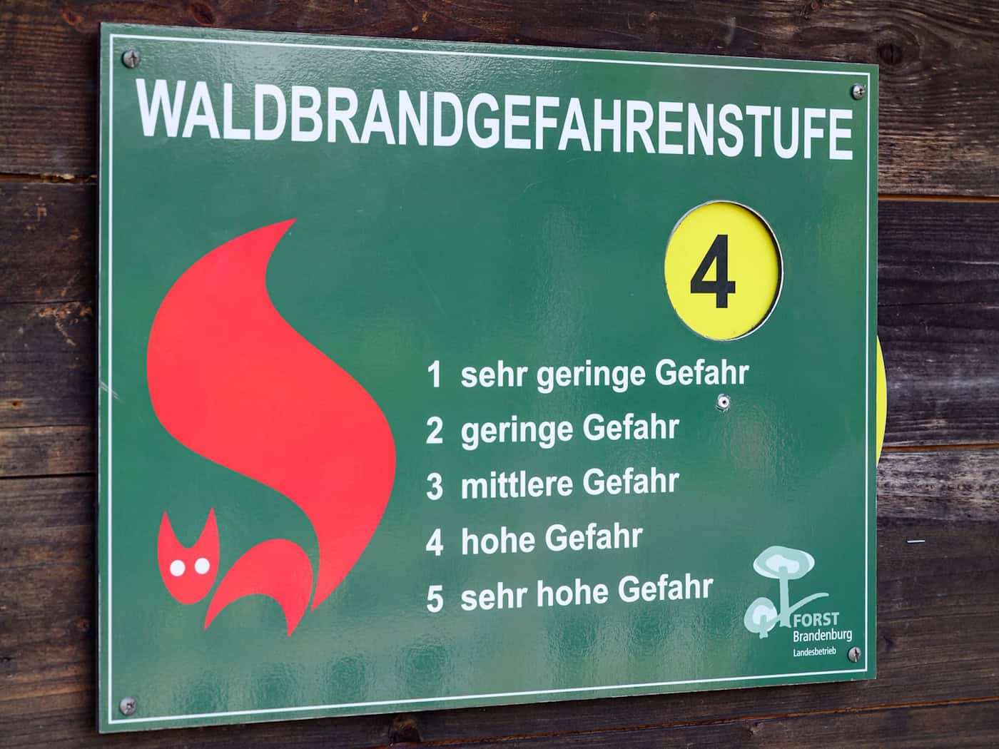 In vielen Landkreisen wurde die Waldbrandstufe am Donnerstag erhöht. (Archivbild) / Foto: Patrick Pleul/dpa