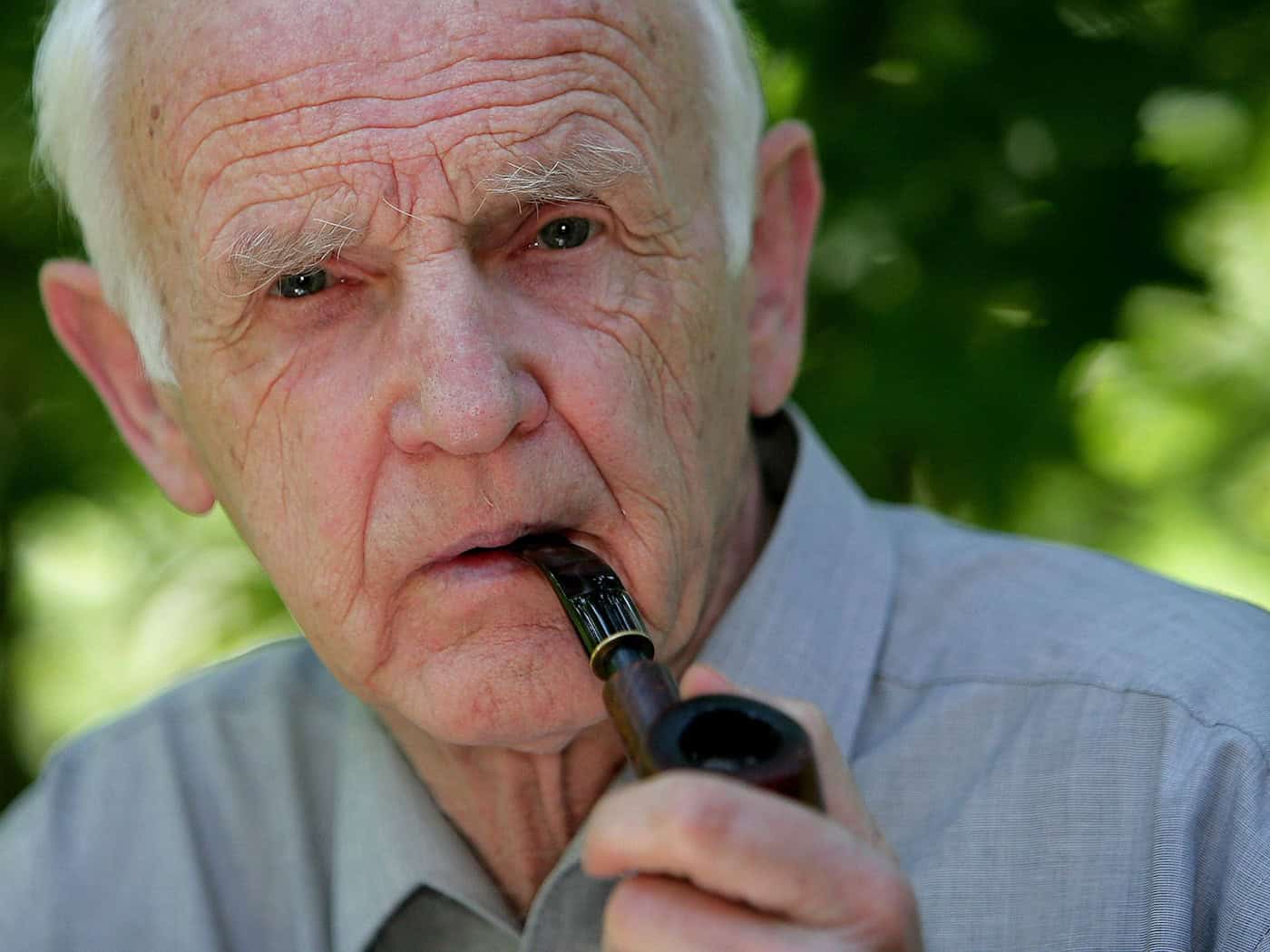 De Bruyn wurde 93 Jahre alt. (Archivbild) / Foto: picture alliance / dpa