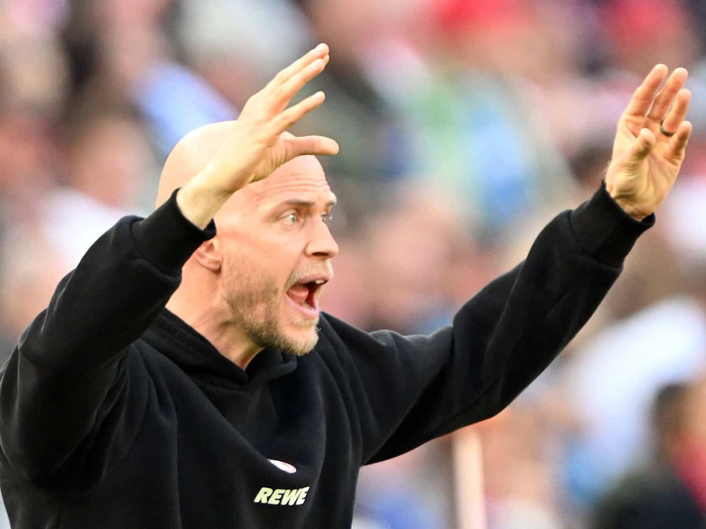 Der 1. FC Köln um Trainer René Wagner kann mit einem Sieg die Konkurrenz unter Druck setzen. (Archivbild) / Foto: Federico Gambarini/dpa
