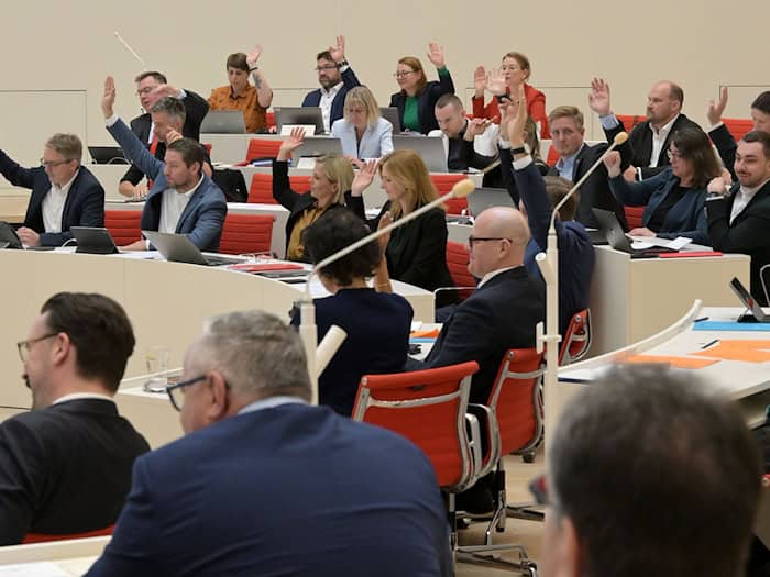 Die hohen Spritpreise werden am Donnerstag Thema im Landtag. (Archivbild) / Foto: Michael Bahlo/dpa