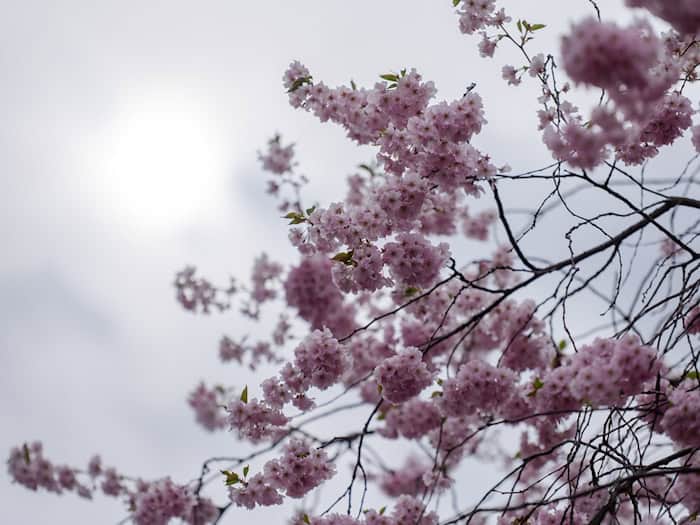 In Berlin und Brandenburg wird das Wetter wechselhaft. (Archivbild) / Foto: Christophe Gateau/dpa