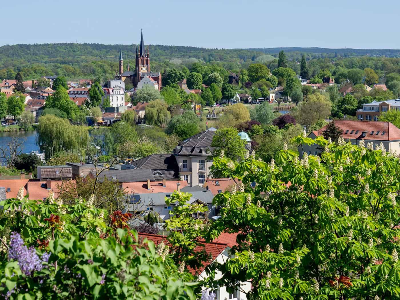Am Wochenende startet das Baumblütenfest in Werder (Havel). (Archivbild) / Foto: Soeren Stache/dpa