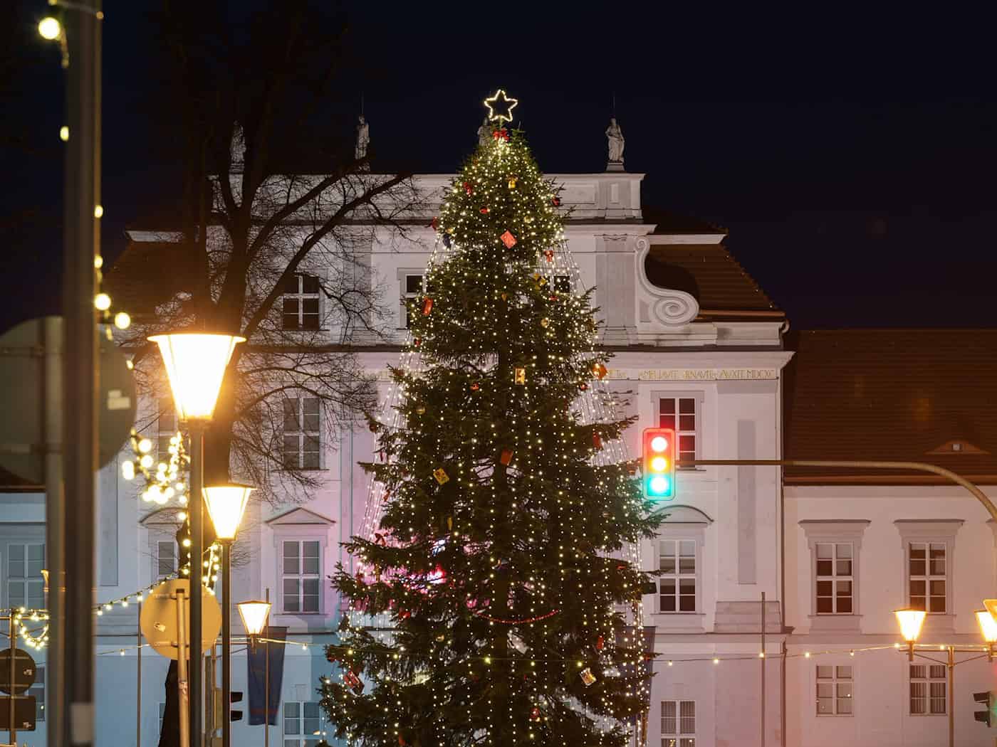 Die Stadt Oranienburg ist auf der Suche nach einem Weihnachtsbaum für die nächste Adventszeit. (Archivfoto) / Foto: Soeren Stache/dpa-Zentralbild/ZB