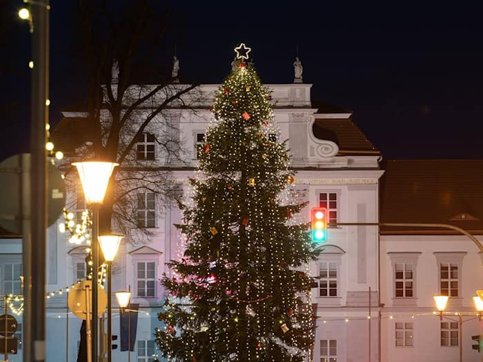 Die Stadt Oranienburg ist auf der Suche nach einem Weihnachtsbaum für die nächste Adventszeit. (Archivfoto) / Foto: Soeren Stache/dpa-Zentralbild/ZB