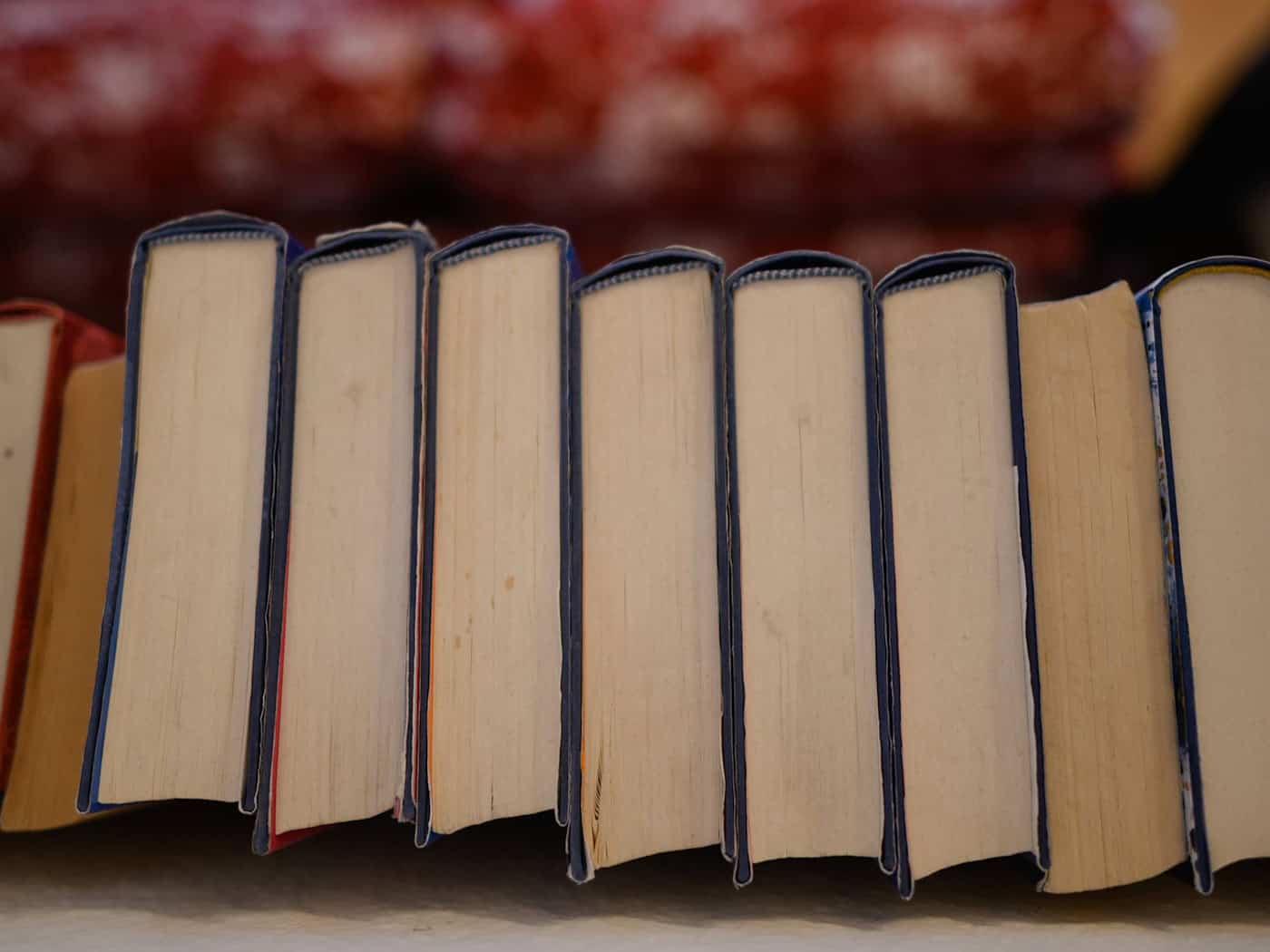 Die Polizei warnt vor Betrugsmaschen beim Verkauf von Büchern. (Symbolbild) / Foto: Robert Michael/dpa