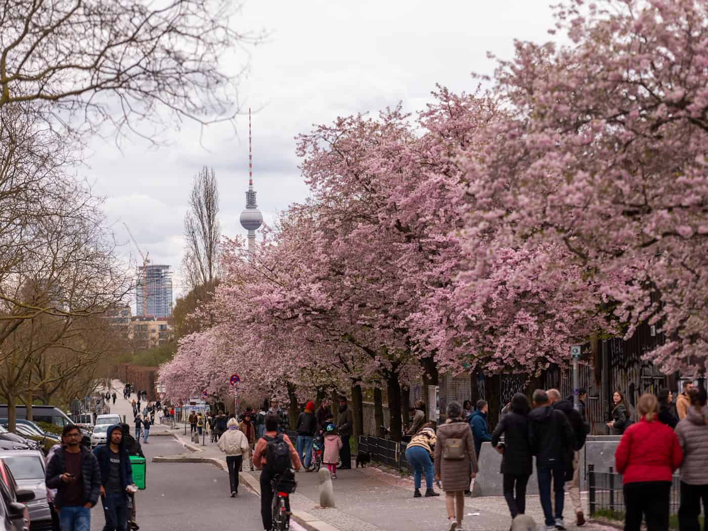 Die Polizei zieht Bilanz für das Osterwochenende in Berlin. / Foto: Christophe Gateau/dpa