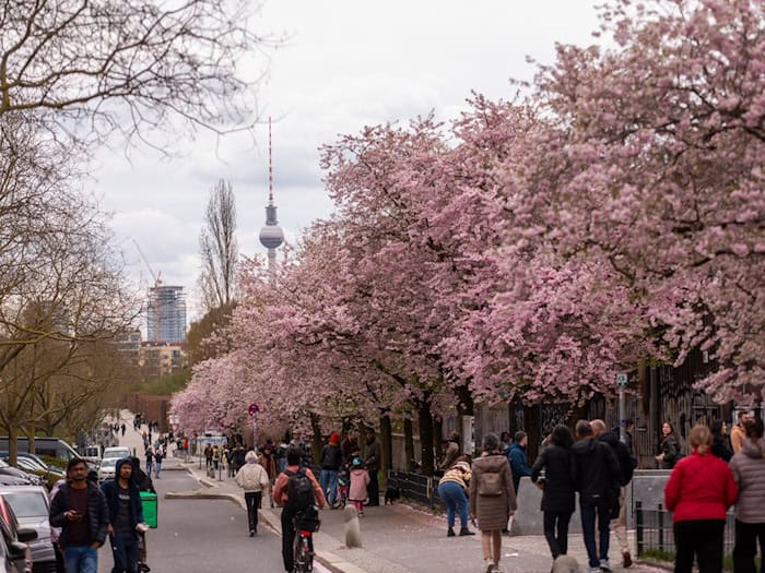 Die Polizei zieht Bilanz für das Osterwochenende in Berlin. / Foto: Christophe Gateau/dpa