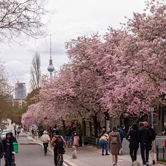 Die Polizei zieht Bilanz für das Osterwochenende in Berlin. / Foto: Christophe Gateau/dpa