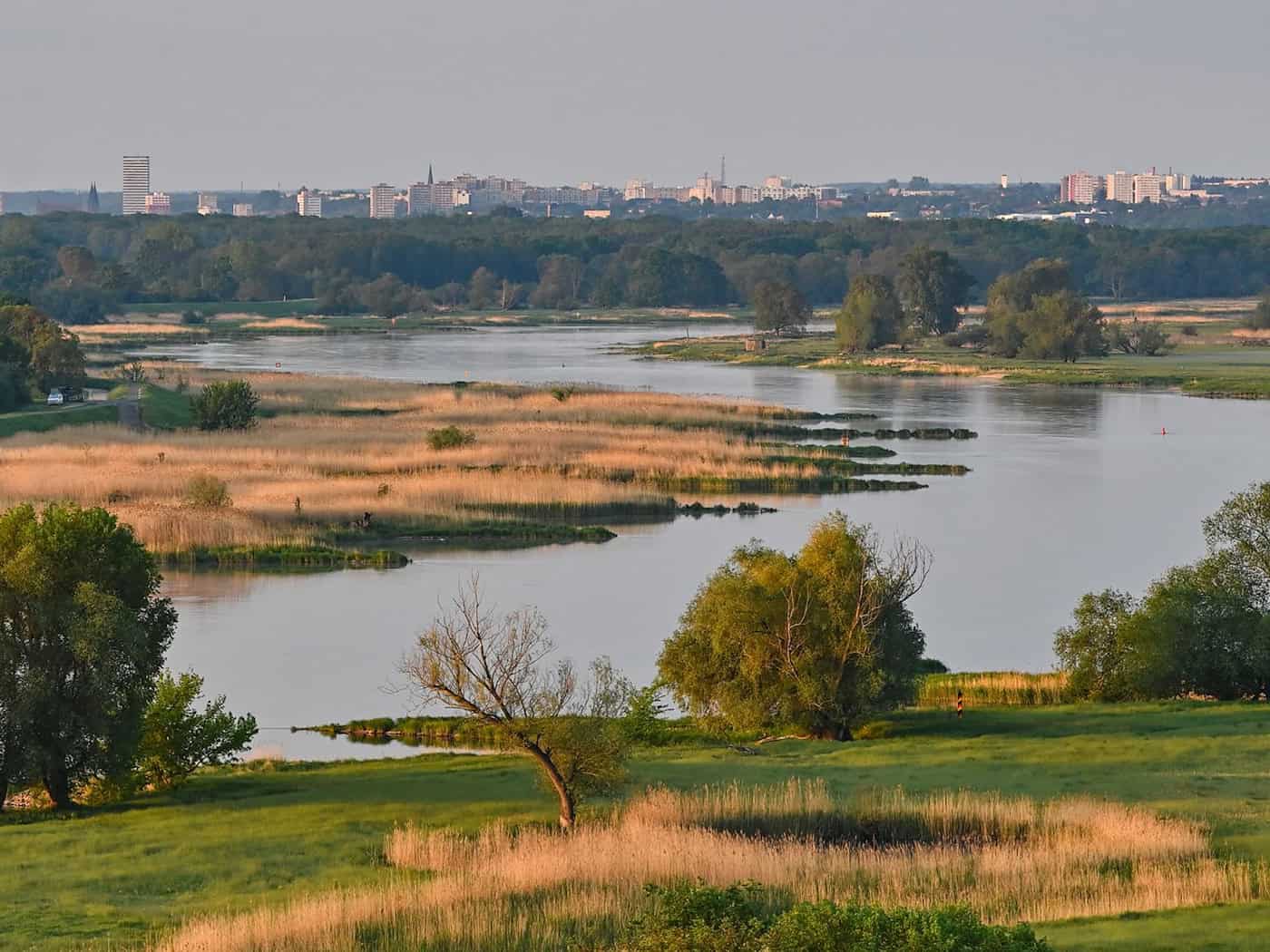 Blick auf den deutsch-polnischen Grenzfluss Oder. (Archivbild) / Foto: Patrick Pleul/dpa