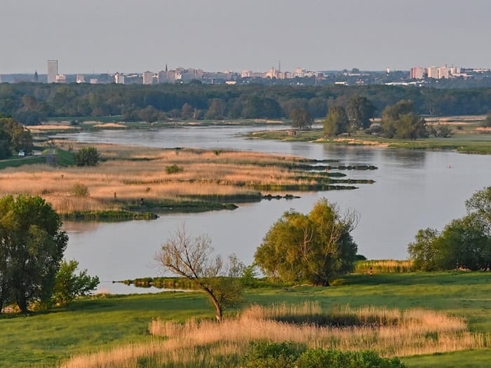Blick auf den deutsch-polnischen Grenzfluss Oder. (Archivbild) / Foto: Patrick Pleul/dpa
