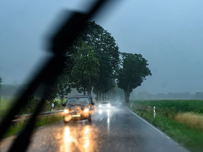 In Brandenburg und Berlin sind starke Regenfälle und Gewitter angekündigt. (Symbolbild) / Foto: Patrick Pleul/dpa
