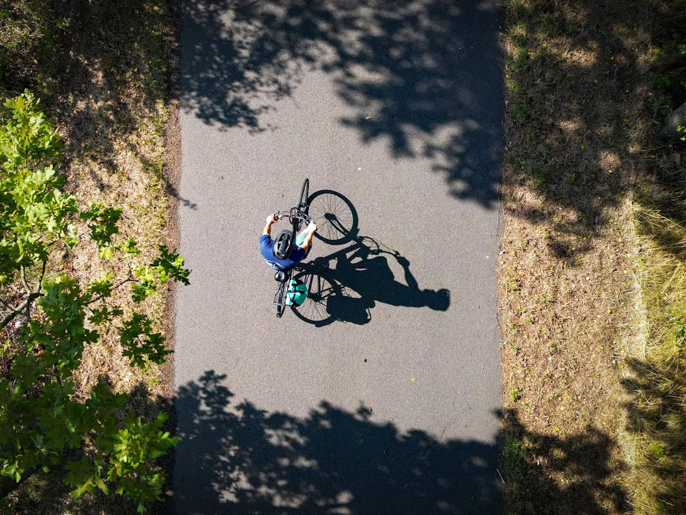Brandenburg hat 29 Radfernwege. (Symbolbild) / Foto: Patrick Pleul/dpa