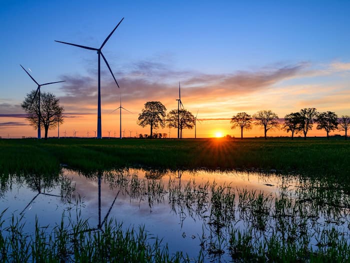 Viel Sonne in Berlin und Brandenburg – nachts sorgt klare Luft aber weiterhin für Frostgefahr. / Foto: Patrick Pleul/dpa