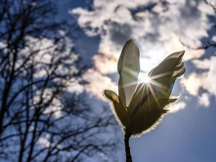 Der Sonnenschein der kommenden Tage wird nur vereinzelt durch Wolken oder Schauer getrübt. (Symbolbild) / Foto: Frank Hammerschmidt/dpa