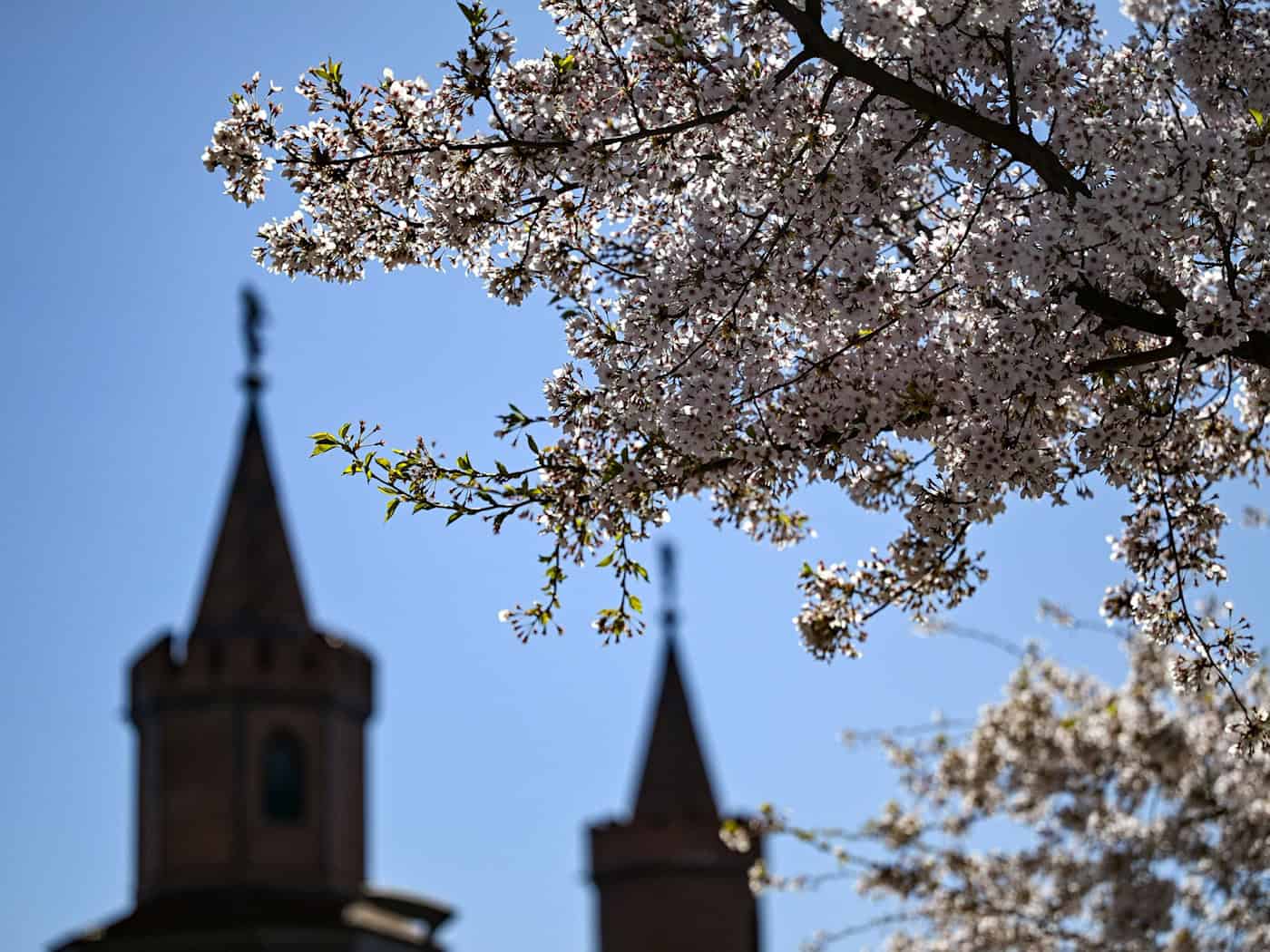 Sonniger Wochenabschluss, aber frostige Nächte: In Berlin und Brandenburg bleibt es ruhig und meist trocken. / Foto: Jens Kalaene/dpa