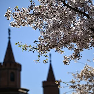 Sonniger Wochenabschluss, aber frostige Nächte: In Berlin und Brandenburg bleibt es ruhig und meist trocken. / Foto: Jens Kalaene/dpa