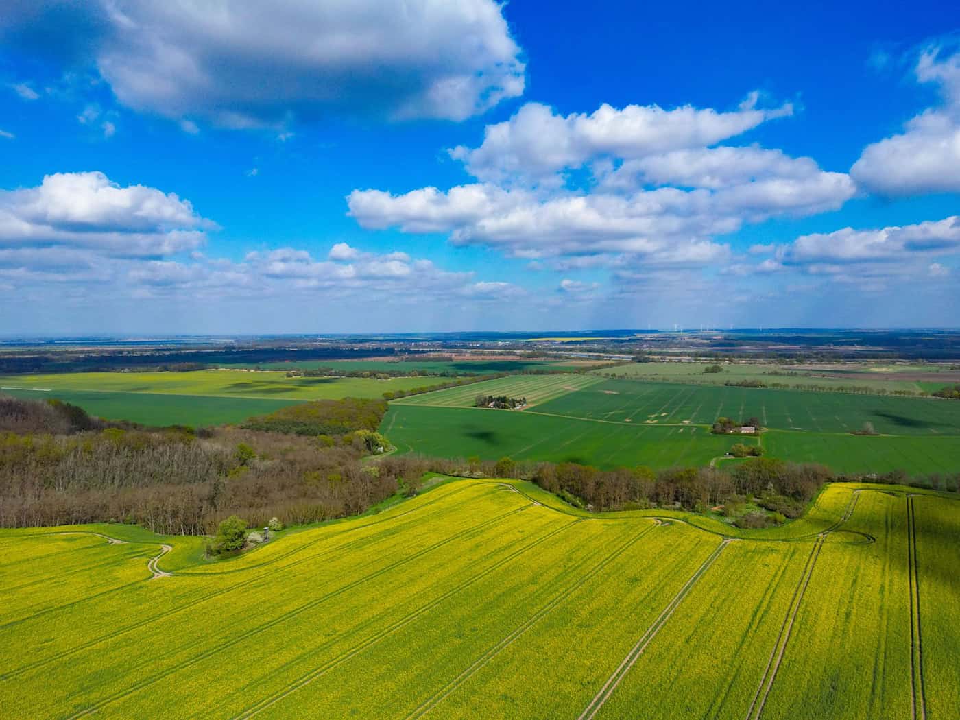 Am Wochenende gibt es viel Sonnenschein in Berlin und Brandenburg. / Foto: Patrick Pleul/dpa