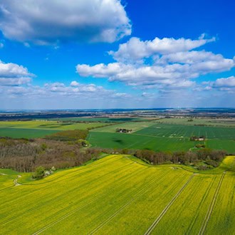 Am Wochenende gibt es viel Sonnenschein in Berlin und Brandenburg. / Foto: Patrick Pleul/dpa