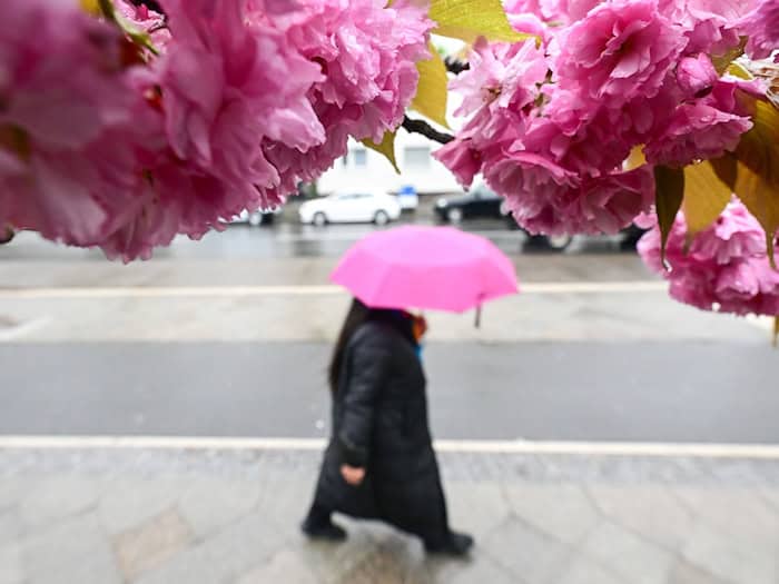 Im April verzeichneten Berlin und Brandenburg überdurchschnittlich viel Niederschlag - aber auch die Sonne schien viele Stunden.  / Foto: Sebastian Gollnow/dpa